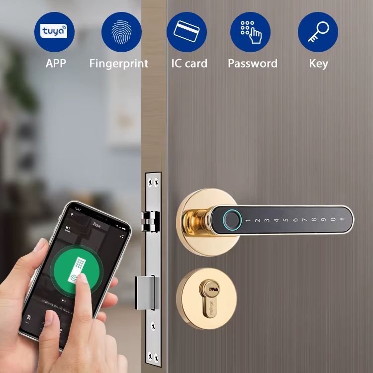 Tuya Biometric Fingerprint Sma - Letter Opener Brass 评论和价格