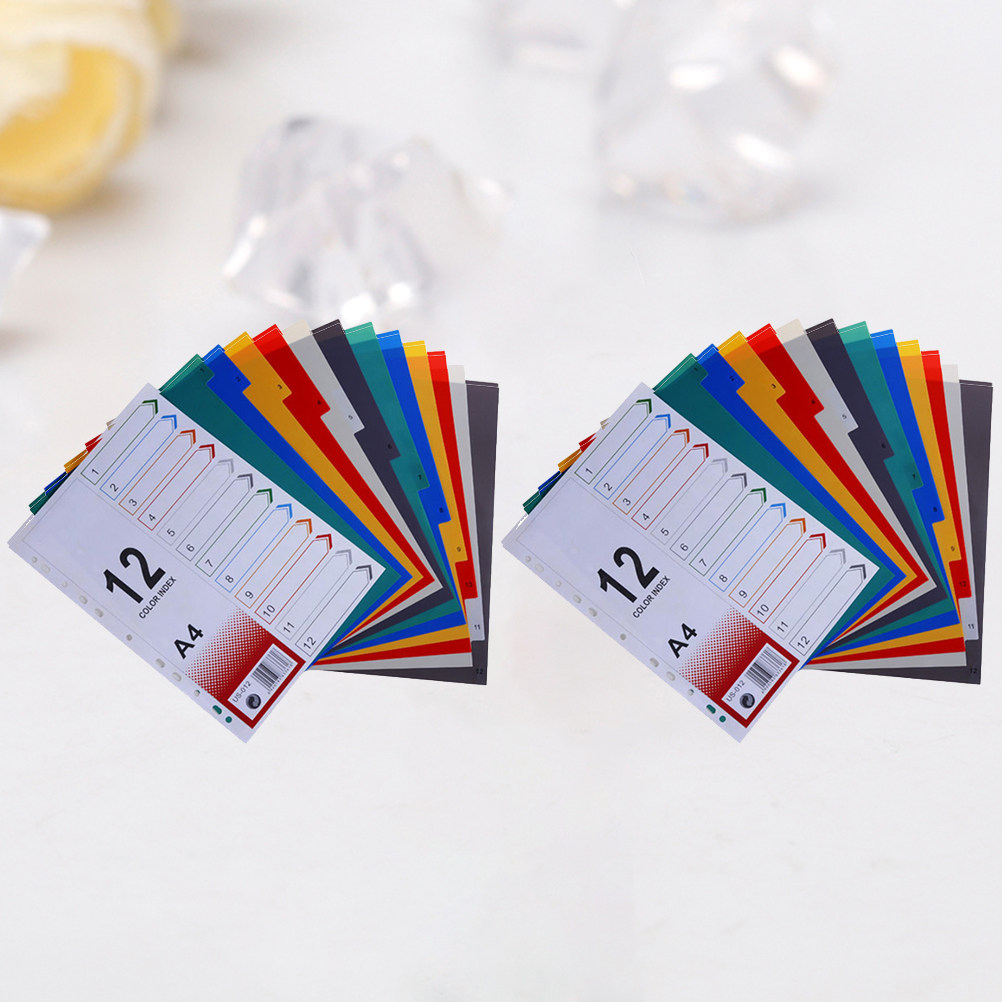 2Pcs A4 Index Page Dividers Ex - Tab Divider A4 评论和价格
